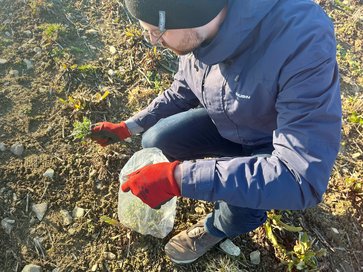 [1763631239041516.jpg]