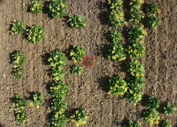 [1763631351215391.png]