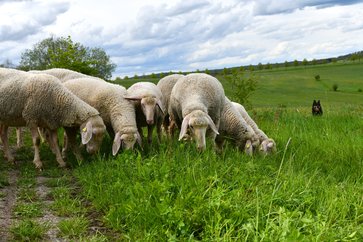 [1763646523487745.jpg]