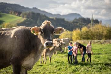 [1763647214283249.jpg]