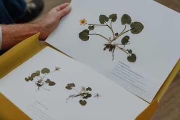 [1763717080101515.jpg]