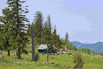 [1764165913891876.jpg]