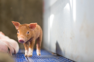 [176416799350756.jpg]