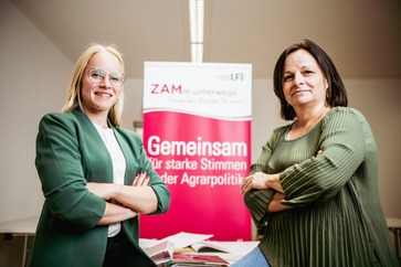 [1764170129638796.jpg]