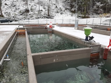 [1764230762604840.jpg]