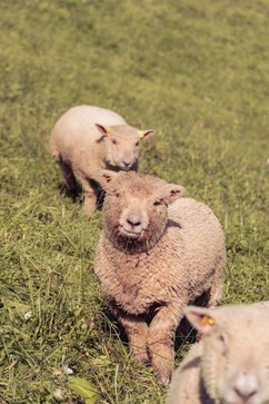 [1764236940390220.jpg]