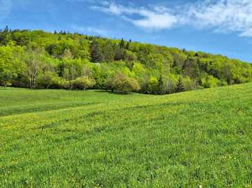 [1764250706108771.jpg]