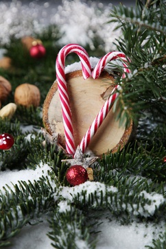 [1764252735493296.jpg]