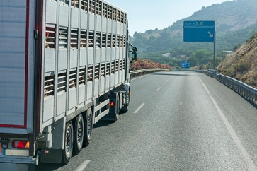 [1764668166920149.jpg]