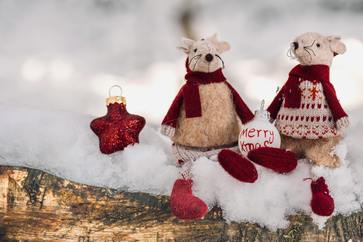 [1764686377654129.jpg]