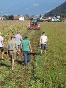 [1764768365417884.jpg]