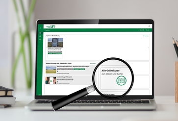 [1764951657304470.jpg]