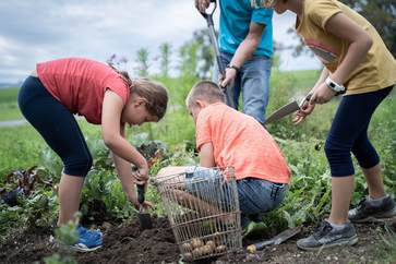 [1765275434822742.jpg]