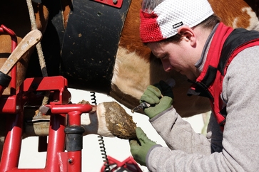 [1765436372590163.jpg]