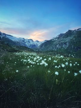 [1765872394842372.jpg]