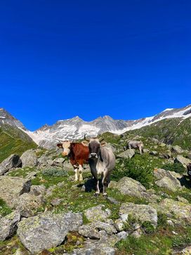 [1765889278099386.jpg]