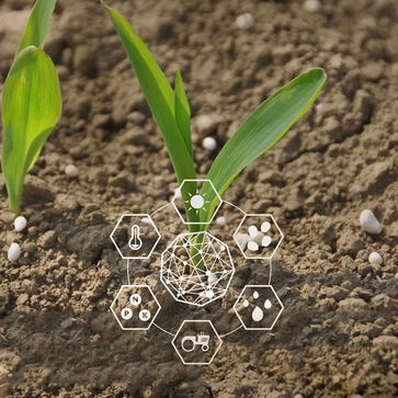 [1765950813159399.jpg]