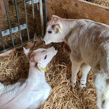 [1765956323506990.jpg]