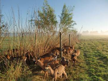 [1765986543446531.jpg]