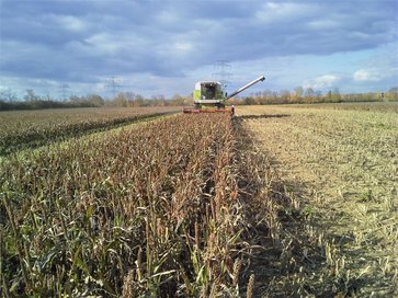 [176598711903751.jpg]