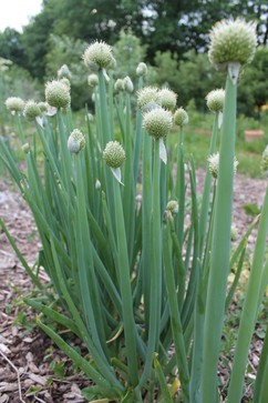 [1765988989293252.jpg]