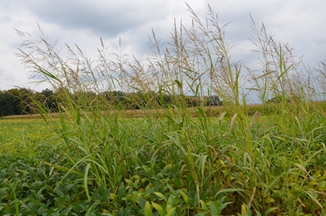 [1765989526560957.jpg]