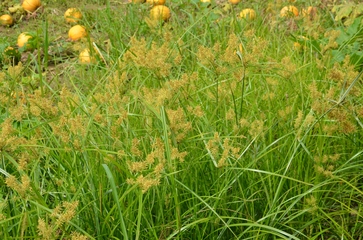 [1765989531884839.jpg]