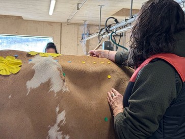 [1766040390461776.jpg]