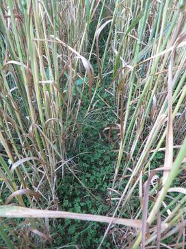 [1766398431295871.jpg]