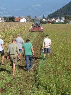 [1766398433290593.jpg]