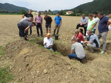 [1766398437155410.jpg]