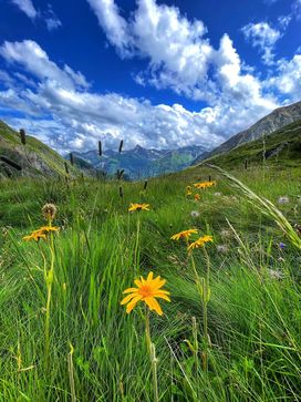 [1767880804042946.jpg]