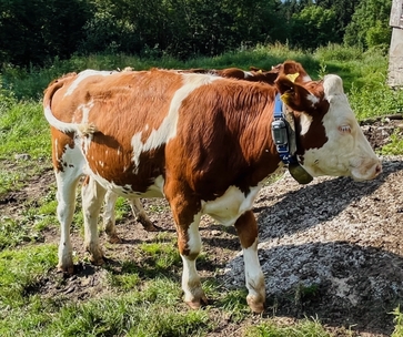 [1767881393960756.jpg]