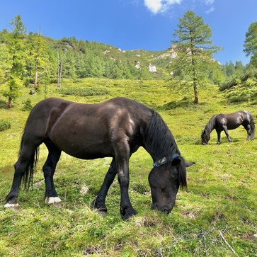 [176788139612164.jpg]