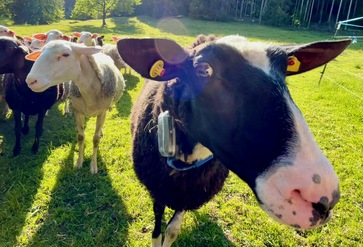 [176788139824516.jpg]