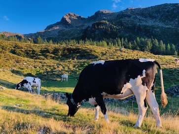 [1767881401341215.jpg]