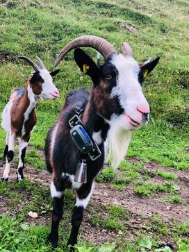 [1767881404416373.jpg]