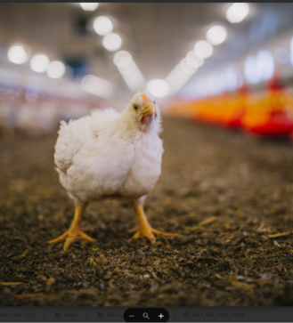 [1768216482698856.png]