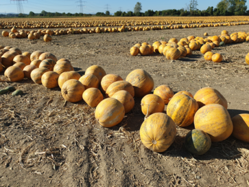 [1768309760396357.png]