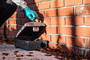 [1768987317784526.jpg]