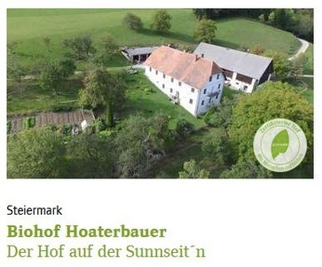 [1769158681750413.jpg]