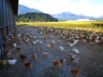 [176917212424170.jpg]