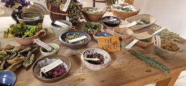 [1769509206919292.jpg]