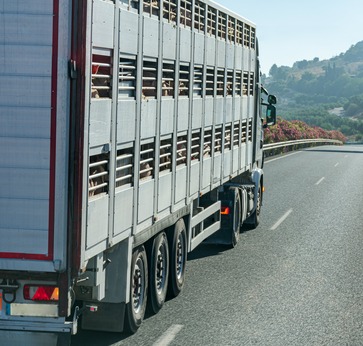 [1769513391083346.jpg]