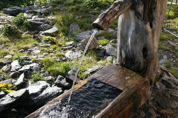 [176951459611745.jpg]