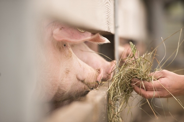 [1769608043759441.jpg]