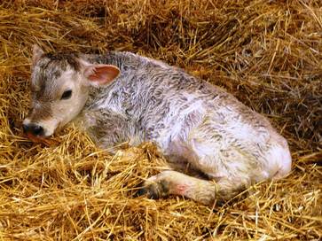 [1769610081262212.jpg]