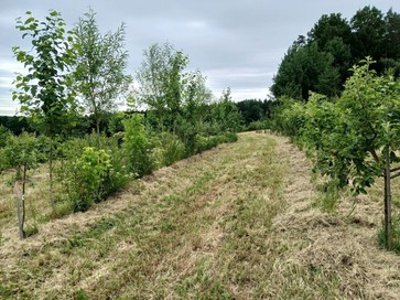 [1769611061144582.jpg]