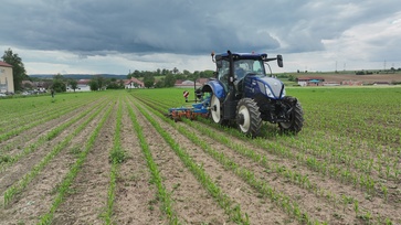 [1769611379893456.jpg]