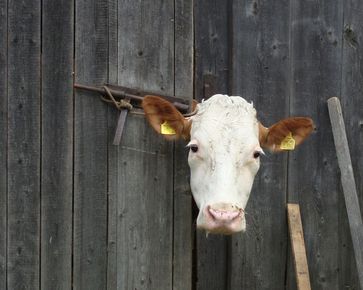 [1769612502720677.jpg]